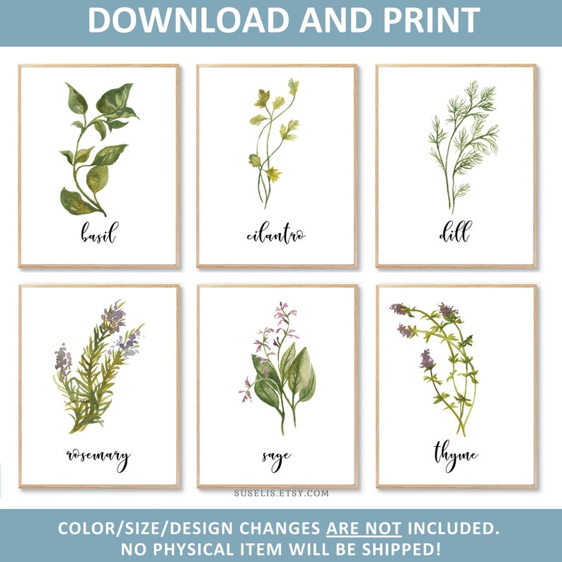 Printable Watercolor Herb Print Set of 6 Botanical - Etsy