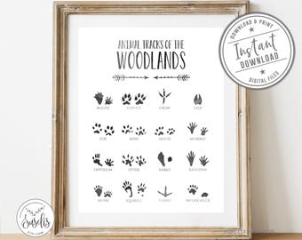 Woodland Animal Tracks Print, Forest Animals Poster, Nature Wall Art