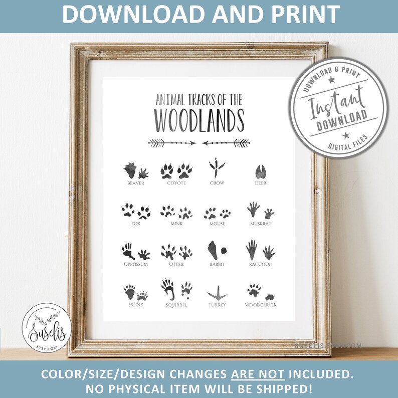 Woodland Animal Tracks Print Printable Nursery Decor | Etsy