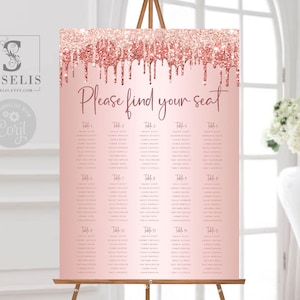 EDITABLE Template Rose Gold Sweet 16 Seating Chart, Blush Pink Any Event, Sweet Sixteen Signage, Digital Printable, Instant download,SW16038