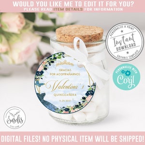 Editable Quinceanera Tag, Navy Blue, Blush Pink, Gift tag, Mis Quince Anos, 15th Birthday, Butterfly, Corjl Template Instant Download QU054E