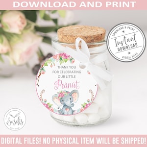 Afdrukbaar bedankt voor het vieren van onze kleine pinda-tags, olifant babyshower, bedankkaartje, blush roze bloemen cupcake topper, DIGITALE BS014