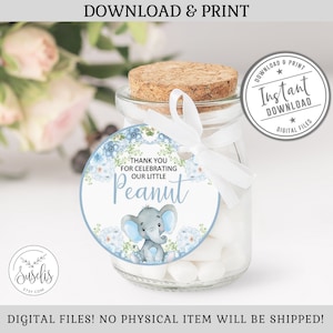 Printable, Our Little Peanut Tags, Baby Elephant, Baby Shower, Stickers, Instant Download, Favor Tags, Watercolor Floral, DIGITAL FILE BS014