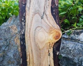 Embla - the elm tree goddess.