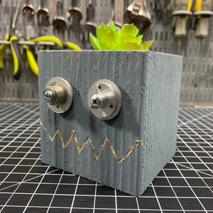 May include: A gray wooden planter with a carved zigzag mouth and metal hardware eyes. The planter holds a green succulent. The design gives the planter a whimsical, cartoonish appearance. The planter is on a black surface.