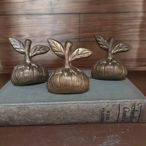 Vintage Brass Garlic Bulb Drawer Knobs - Set of 3