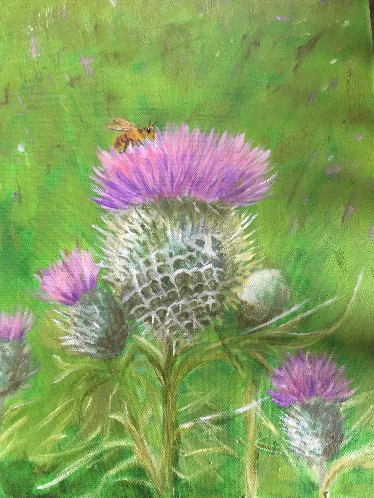 Scottish Thistle Etsy