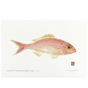 Gyotaku Fish Print - Opakapaka Snapper - Limited Edition Art by Maui Artist Debra Lumpkins