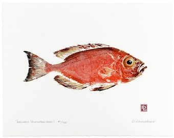 Gyotaku Fish Print - Hawaiian Endemic Fish - Limited Edition Art by Maui Artist Debra Lumpkins