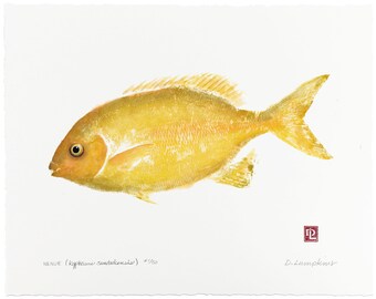 Gyotaku Fish Print - Queen Nenue - Limited Edition Art by Maui Artist Debra Lumpkins