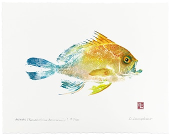 Gyotaku Fish Print - Hawaiian Anthias - Limited Edition Art by Maui Artist Debra Lumpkins