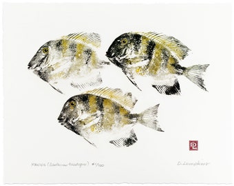 Gyotaku Fish Print - Hawaiian Tropical Fish - Limited Edition Art by Maui Artist Debra Lumpkins