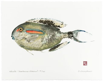 Gyotaku Fish Print - Hawaiian Surgeonfish - Limited Edition Art by Maui Artist Debra Lumpkins