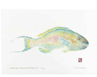 Gyotaku Fish Print - Hawaiian Parrotfish - Limited Edition Art by Maui Artist Debra Lumpkins
