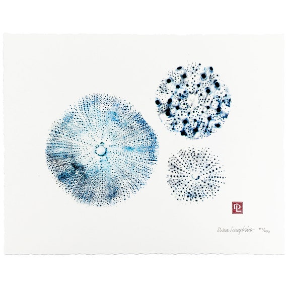 Gyotaku Art Sea Urchins Limited Edition Print by Maui Etsy