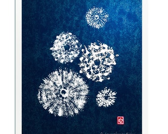 Gyotaku - Sea Urchin Shell Art - Limited Edition Print by Maui Artist Debra Lumpkins