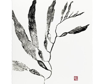 Gyotaku Giant Kelp 11 x 14