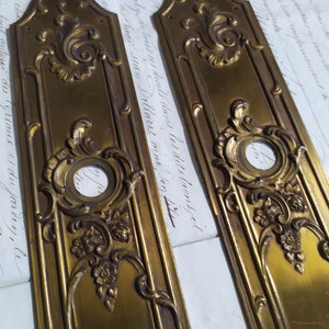Può includere: Due antiche placche per porte in ottone con dettagli floreali e a volute ornati. Ogni placca presenta un'apertura circolare centrale e una forma rettangolare con una parte superiore decorativa. Le placche hanno una calda tonalità dorata e sono su uno sfondo di carta antica.