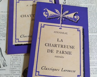 Set of 2 Vintage French Paperbacks, Larousse Paris, Vintage French Books, French deco, Gift idea, Vintage books