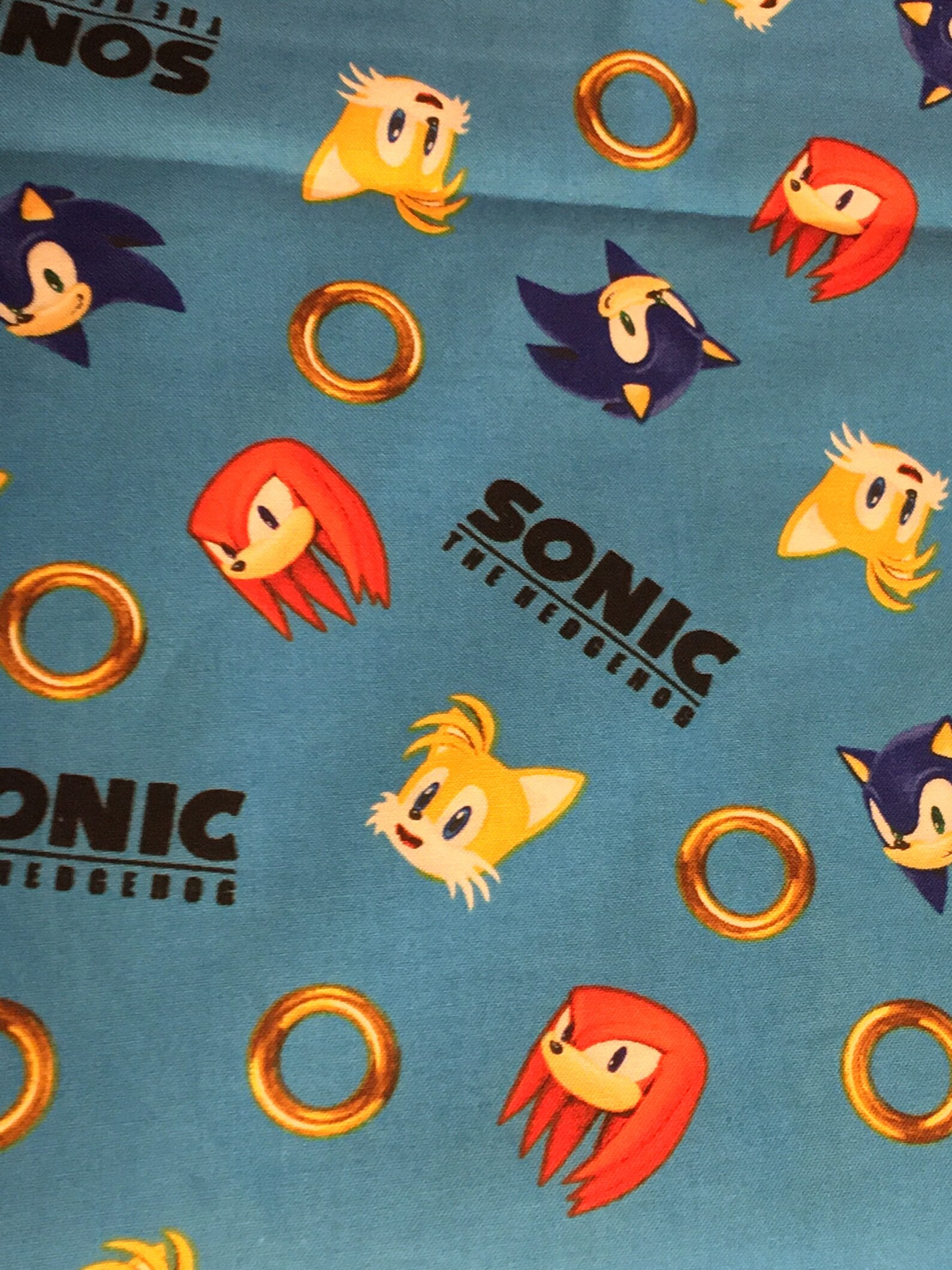 Sonic hedgehog Easter basket. Or have a throw pillow or an Etsy