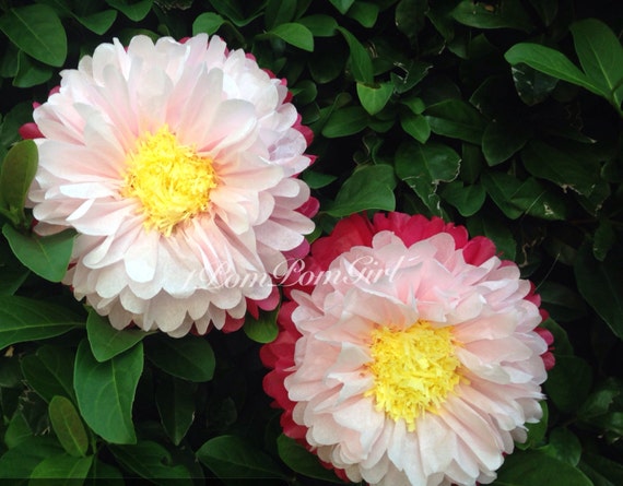 giant paper flowers 5 tissue paper pom pom wedding decorations tissue paper flower centerpiece wedding