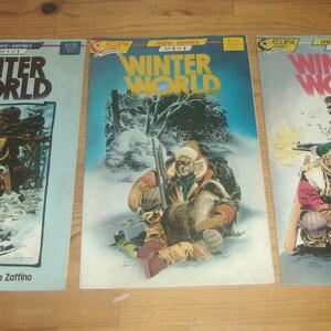 May include: Three comic books titled "Winter World" are displayed. Each cover features a winter scene with figures in winter gear, and the text "Winter World" in large letters. The comics are from the "Mini-Series" collection.