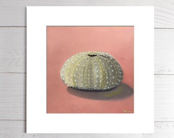 Art Print, Matted Print, Sea Urchin, 8"x8", Coastal Art, Square Print, Framed Art