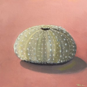 8&quot;x8&quot;, Art Print, Matted Print, Sea Urchin, Coastal Art, Square Print, Framed Art