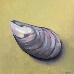 8&quot;x8&quot; Art Print, Matted Print, Mussel Shell, Coastal Art, Square Print, Framed Art