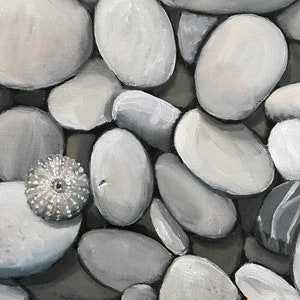 5&quot;x7&quot;, 8&quot;x10&quot;, Matted Print, Coastal Art, Beach Rocks, Sea Urchin, Black and White Print, Black and White Art