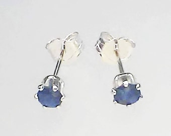 May include: A pair of silver stud earrings with small, round, dark blue gemstones.