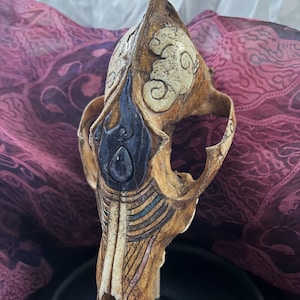 What Sustains the Dream coyote skull carving