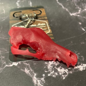 Resin Thylacine Skull keychain Candy Red