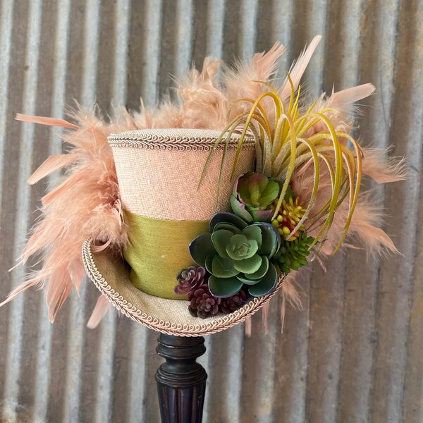 Mini haut de forme, succulent mini haut de forme, chapeau de thé, chapeau de cactus, Alice au pays des merveilles, chapeau de thé du Chapelier fou, chapeau Kentucky Derby, succulent