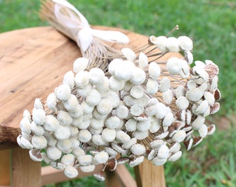 Natural Floral Buttons