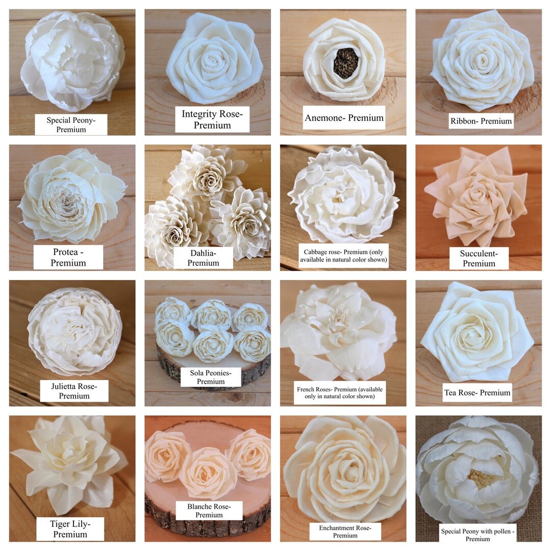 Choose Your Sola Flower Assortment and Colors/ DIY Bouquet/ DIY
