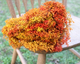 Orange and Mustard Yellow Broom Bloom Filler/ Bouquet Filler