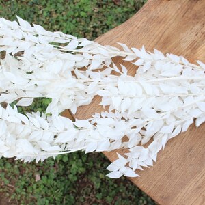 May include: A bunch of white dried leaves, arranged in a fan shape on a wooden surface.