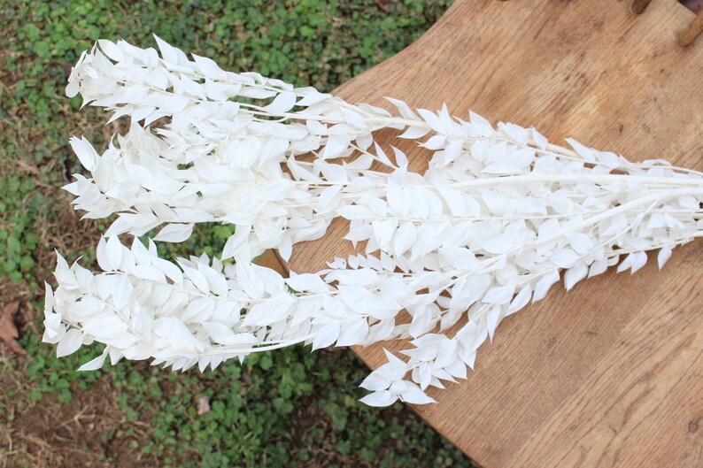 May include: A bunch of white dried leaves, arranged in a fan shape on a wooden surface.