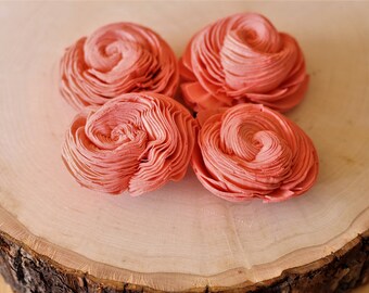 Coral Sola Wood Shell Flowers ( Set of 12 )