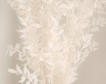 Premium Bleached White Italian Ruscus - / Bleached Flowers/ Preserved Flowers/ White Flowers