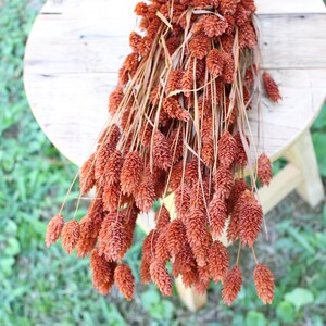 May include: A bunch of dried orange-brown pampas grass with feathery plumes. The grass is arranged in a bouquet and is sitting on a wooden surface.