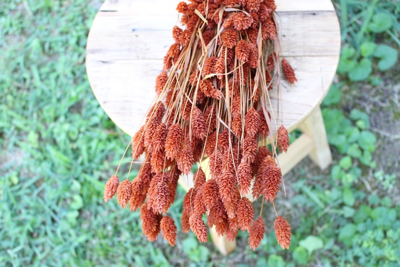 May include: A bunch of dried orange-brown pampas grass with feathery plumes. The grass is arranged in a bouquet and is sitting on a wooden surface.