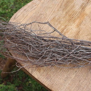 Thin Branches/ Twigs/ Sticks -Great for Centerpiece and Bouquet Stems