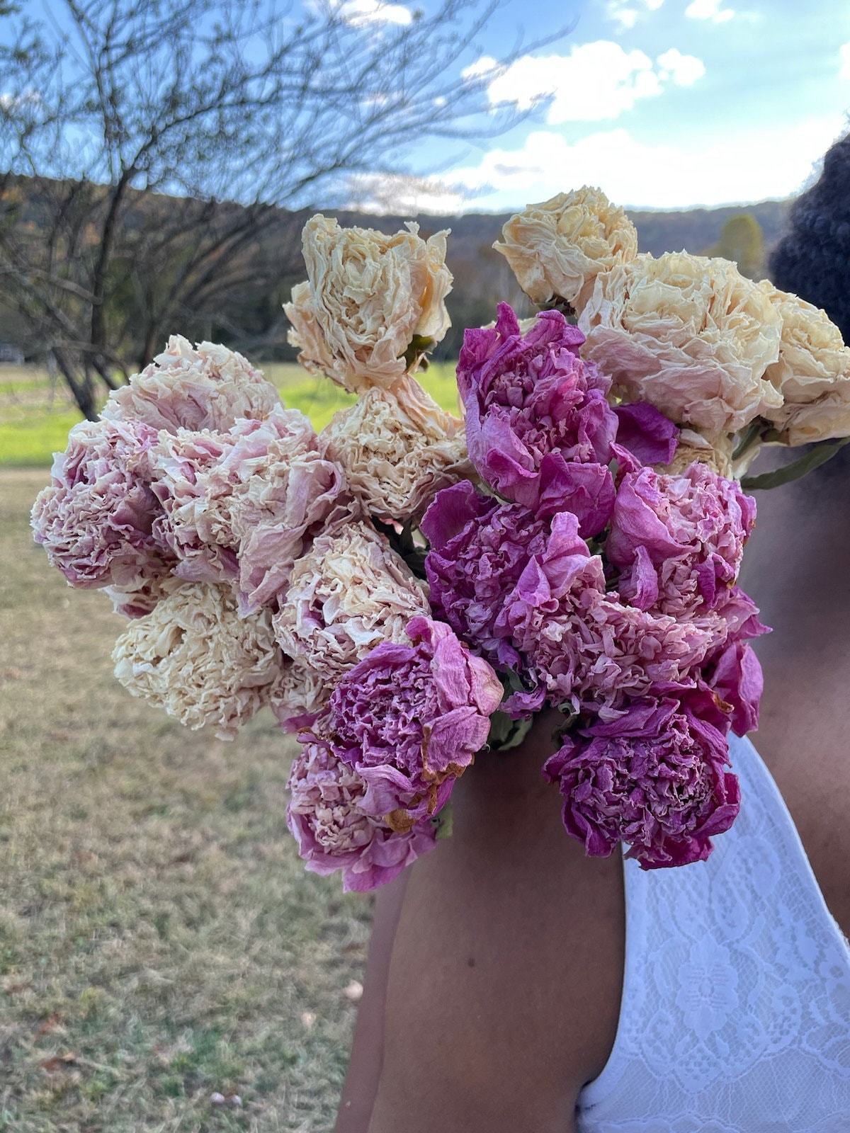 Dried peony bouquet, dried peony bunch, dried peonies for weddings, dried flowers for vase, rose substitute, peonies, pink peony