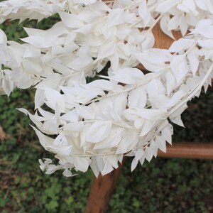 May include: White dried leaves arranged in a garland, with a natural wood surface in the background.