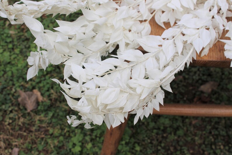 May include: White dried leaves arranged in a garland, with a natural wood surface in the background.