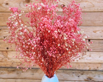 Natural Pink Preserved Baby's Breath Bundle, Unbleached Baby's Breath, Natural Gypsophilia, Preserved Gypsophilia