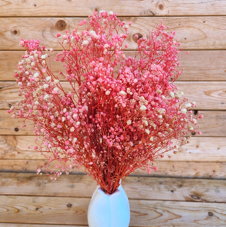 Natural Pink Preserved Baby's Breath Bundle, Unbleached Baby's Breath, Natural Gypsophilia, Preserved Gypsophilia image 1