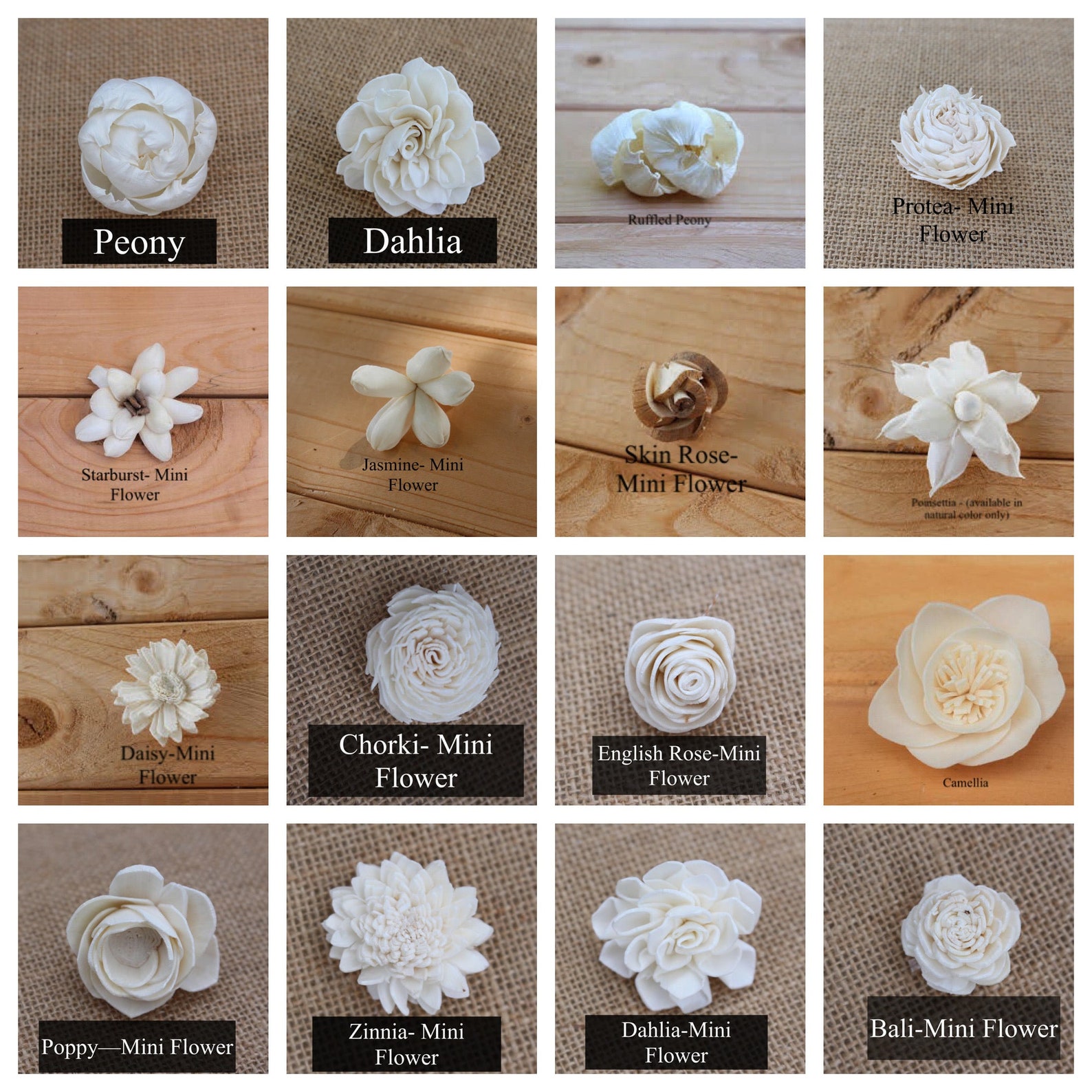 Choose Your Sola Flower Assortment and Colors/ DIY Bouquet/ Etsy